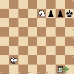 Simple Anastasia's Mate